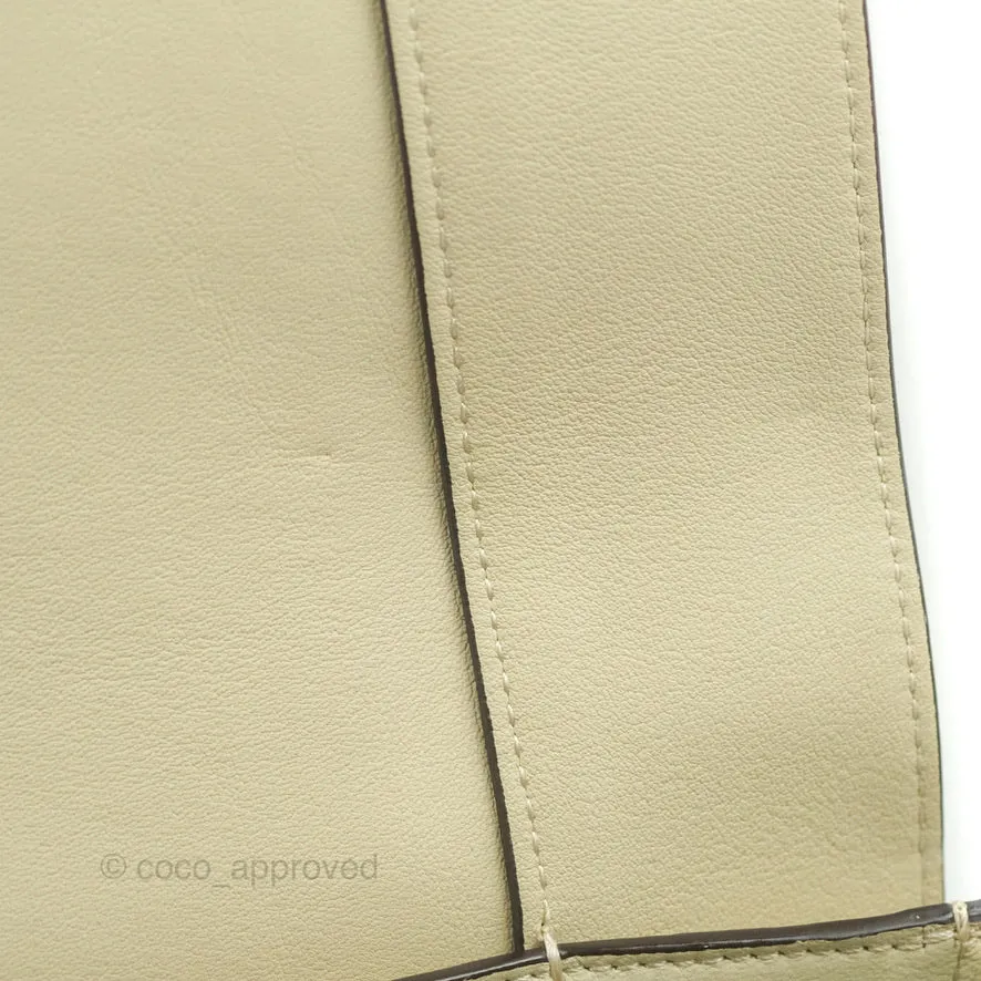Celine Frame Bag Light Green