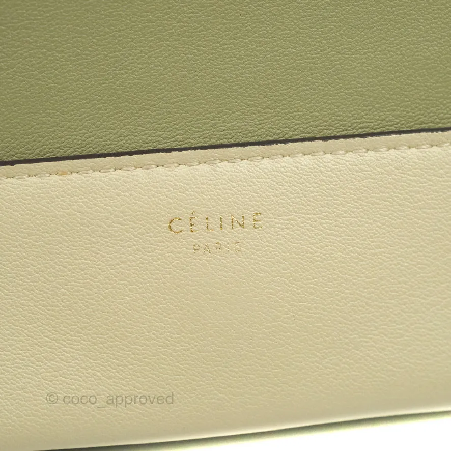 Celine Frame Bag Light Green