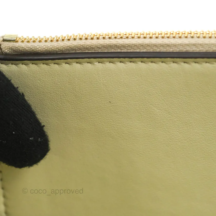 Celine Frame Bag Light Green