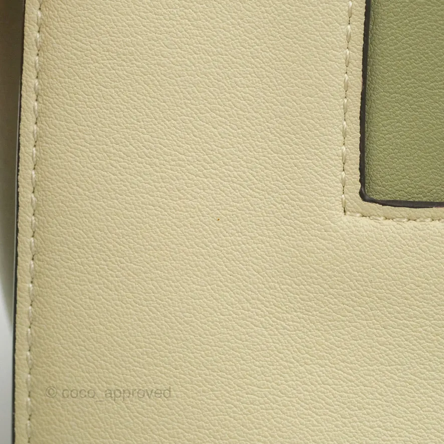 Celine Frame Bag Light Green