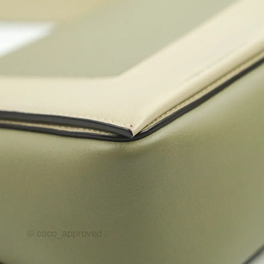 Celine Frame Bag Light Green