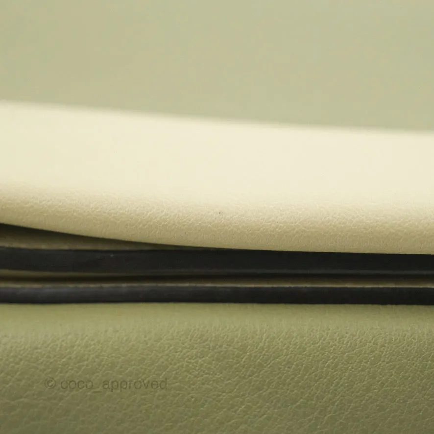 Celine Frame Bag Light Green