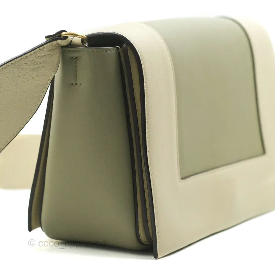 Celine Frame Bag Light Green