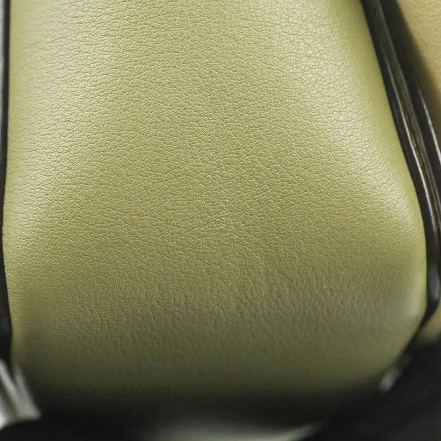 Celine Frame Bag Light Green